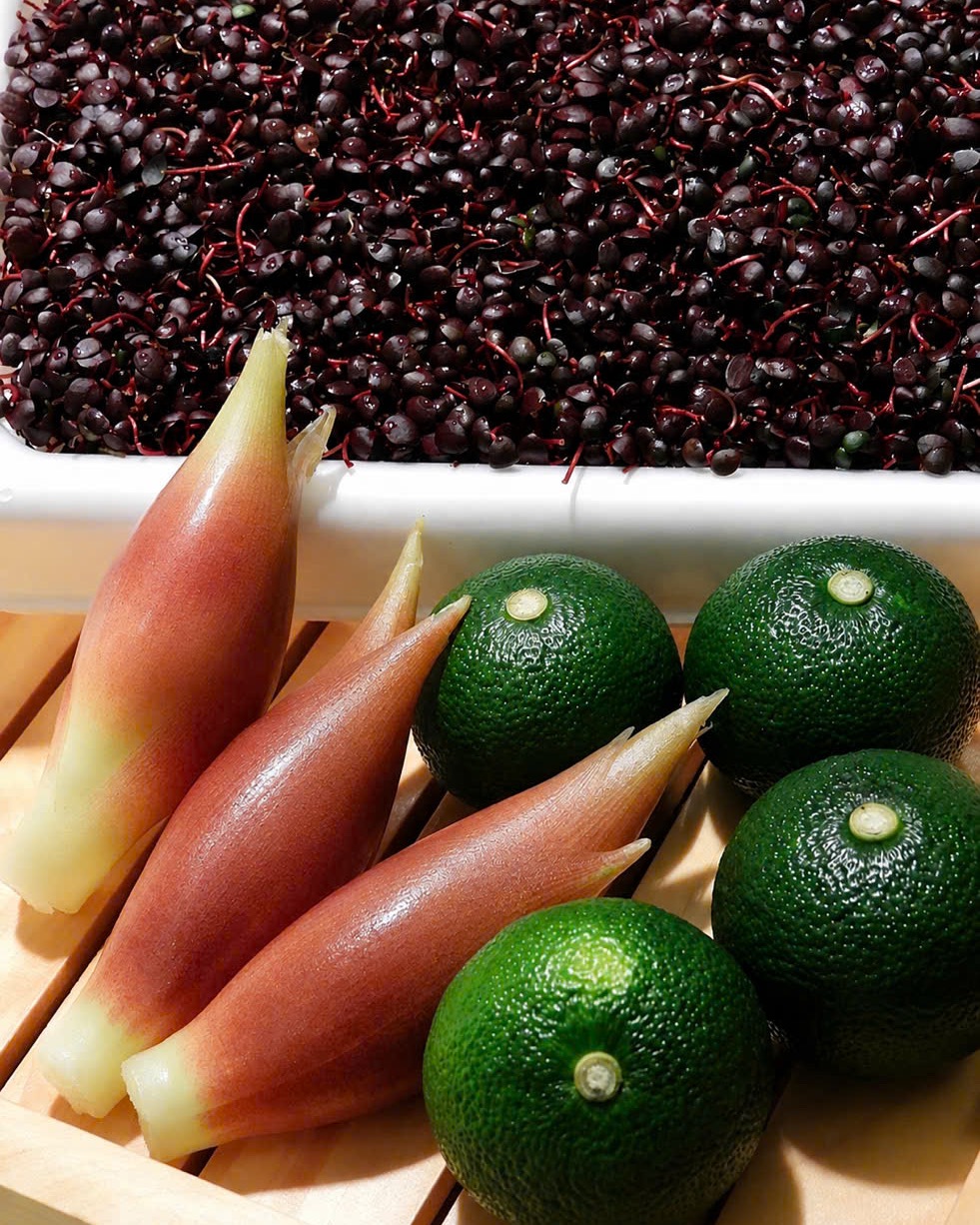 Fresh myoga and citrus, prepared for service.